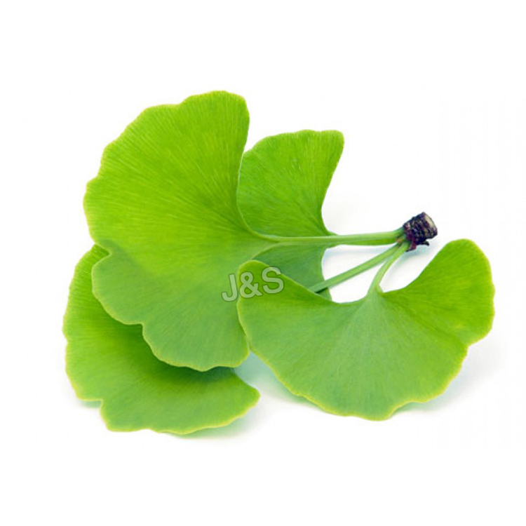 Competitive Price for
 Organic Ginkgo Biloba Extract Factory for Tanzania
