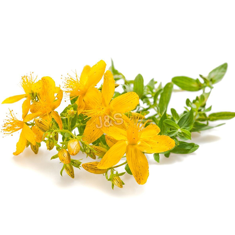 2016 Good Quality
 St John's wort extract Factory in Las Vegas
