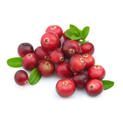 Low MOQ for China Natural Cranberry Extract Powder