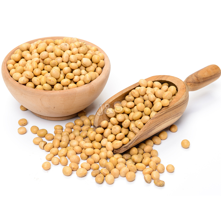 12 Years Manufacturer
 Soybean extract Wholesale to Dominican Republic
