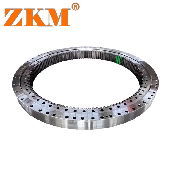 Long Working Life Swing Bearing for PC1250-7/8/11r 21n-25-00201/21n-25-00400
