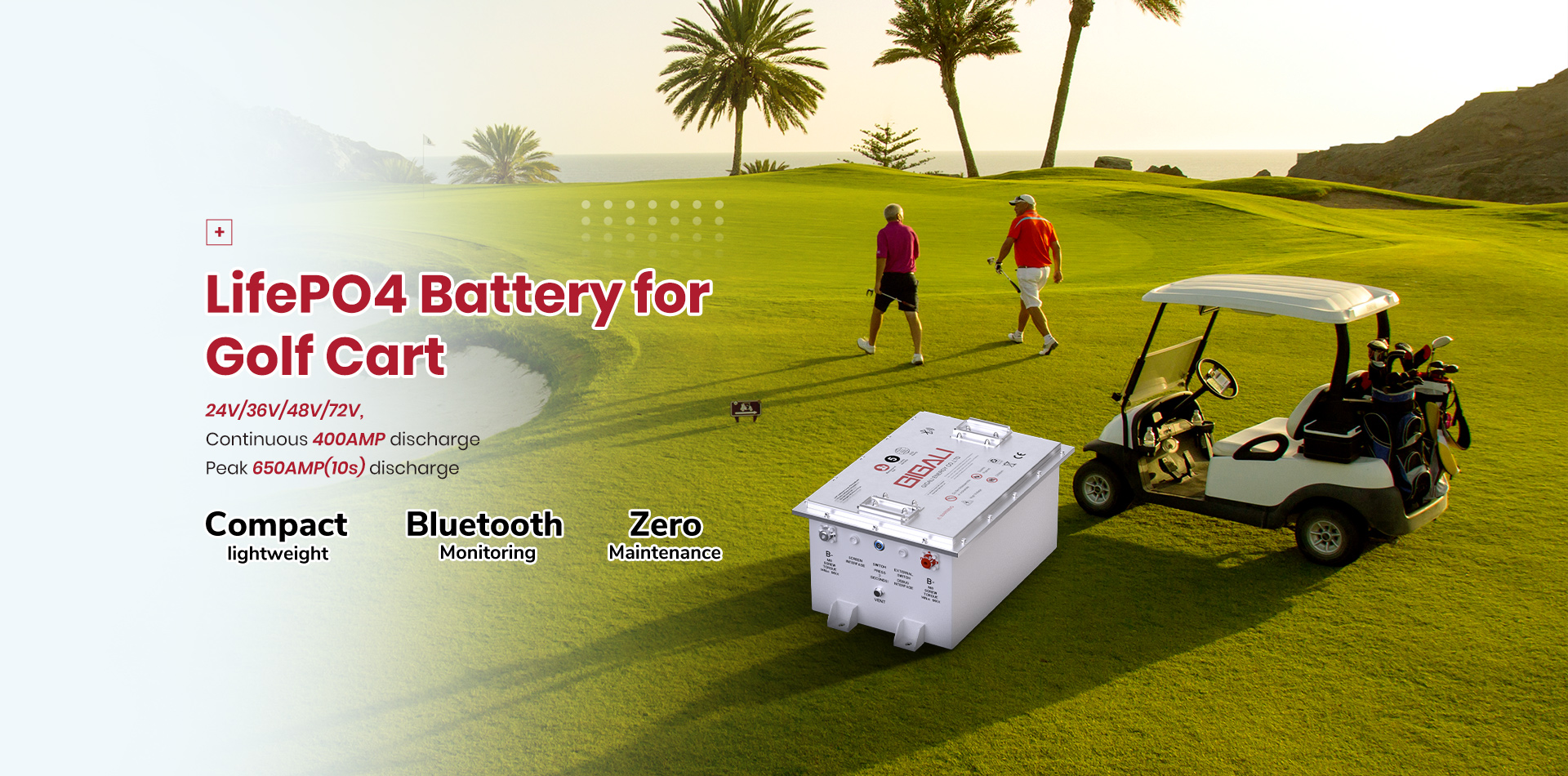 Battery for golf cart