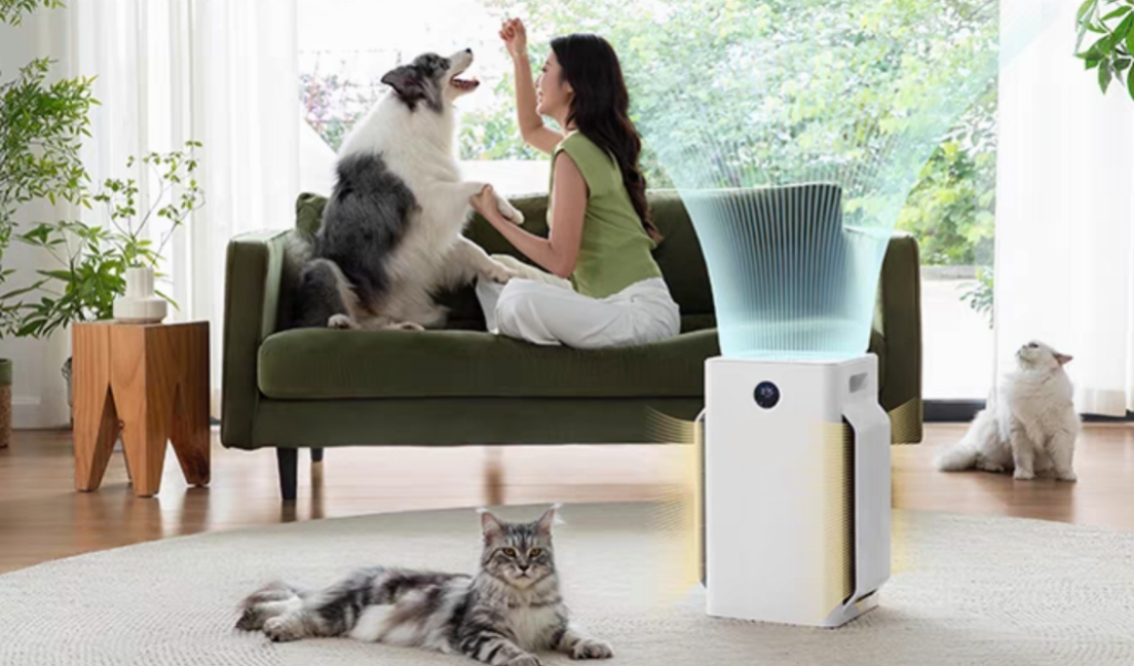 Should I Put an Air Purifier in My Room?