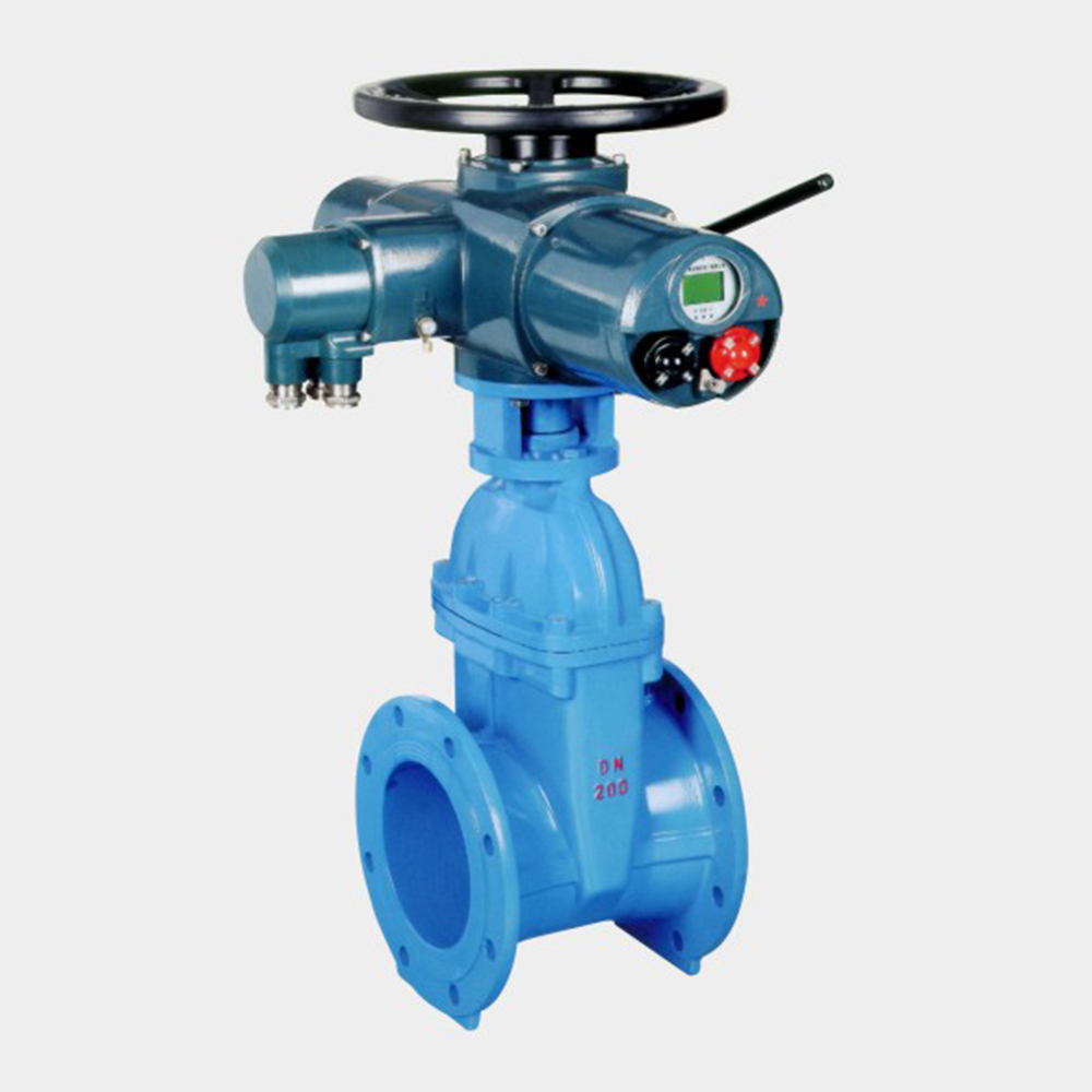 Detailed introduction of electric elastic seat sealing gate valve
