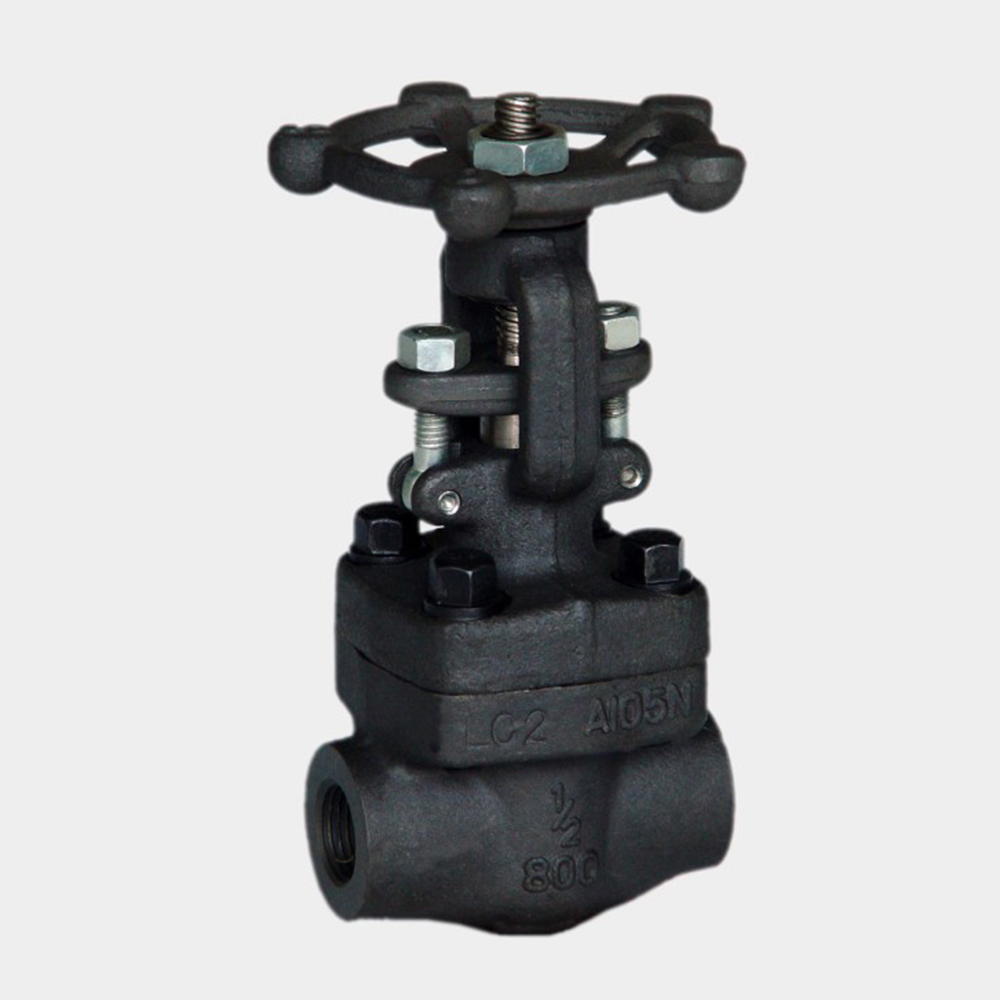 Connection protection device for Chinese forged steel threaded/socket welded gate valves and industrial pipeline systems