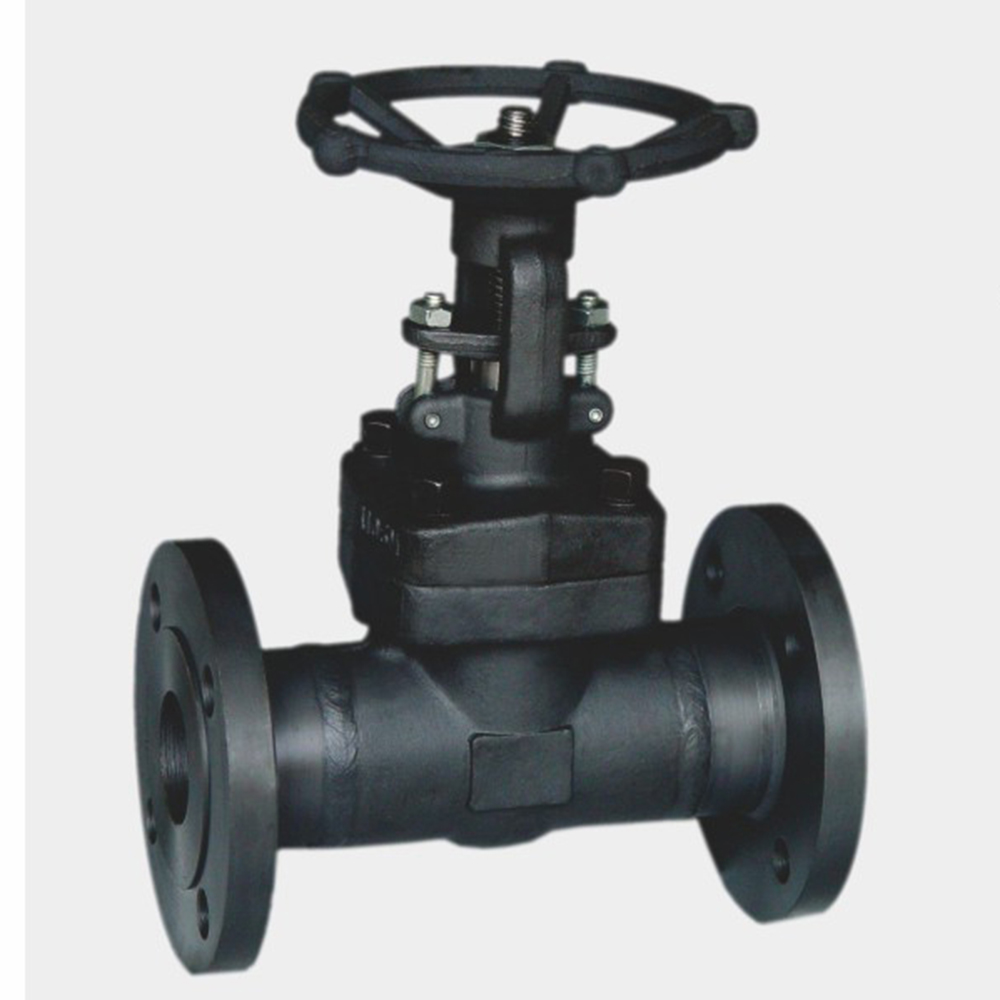An in-depth analysis of Chinese standard forged steel flange gate valves