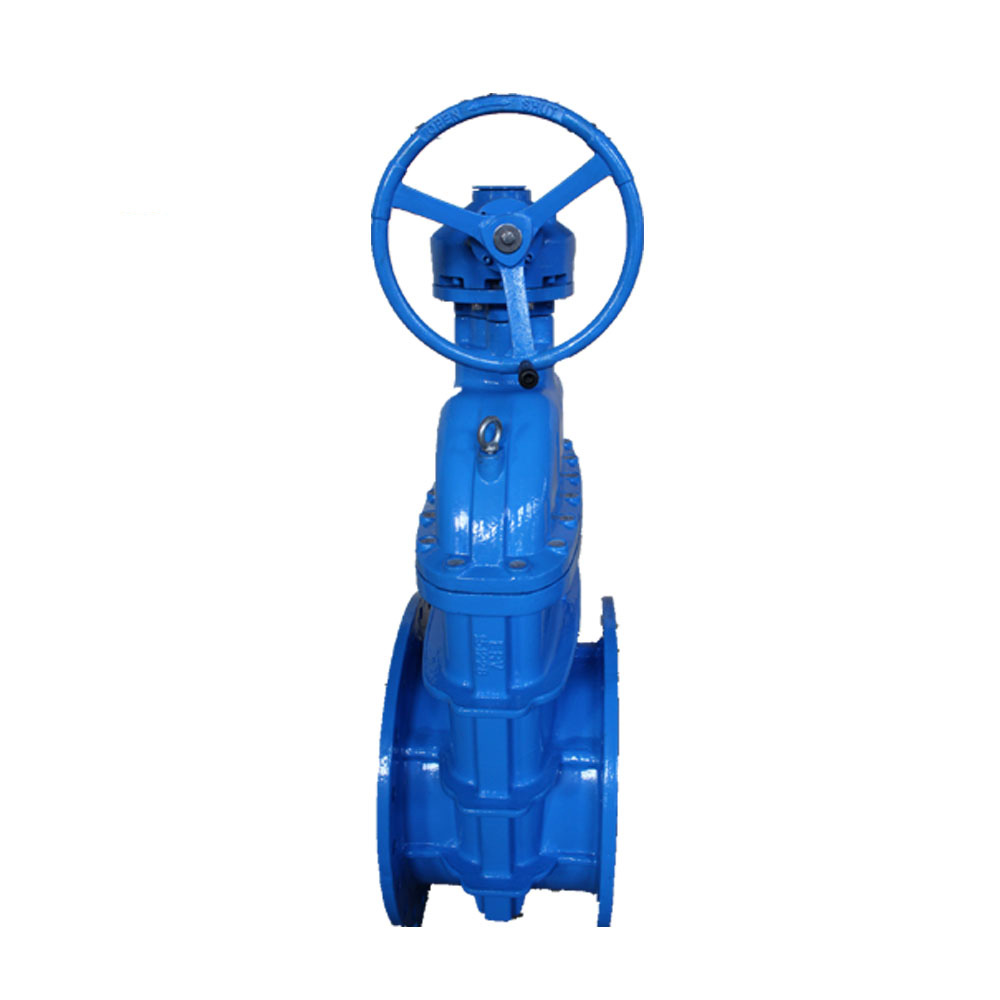 large diameter nrs gate valve with worm gear