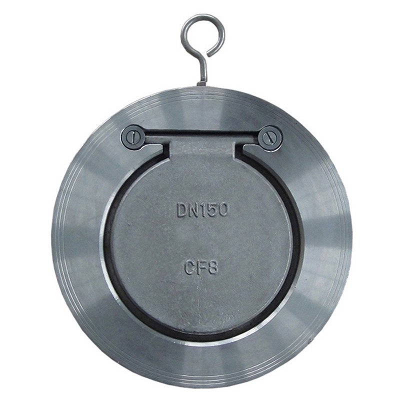 Hot-selling China Stainless Steel 316 Flanged Swing Check Valve