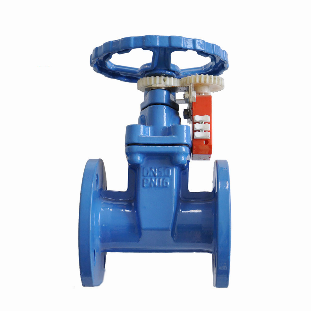 IOS Certificate China DN100 4" Cast Iron Ductile Iron Underground Extension Spindle Gate Valve