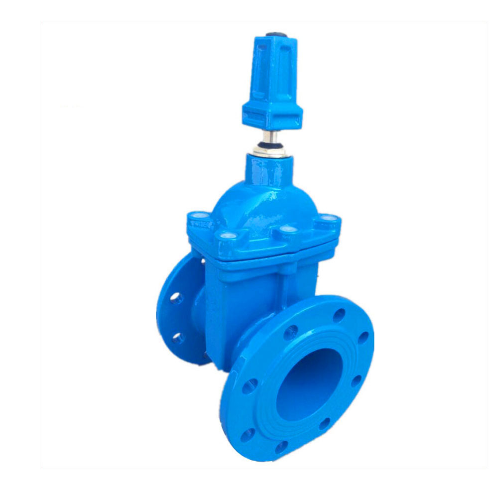 2019 China New Design China Resilient Seat Gate Valve
