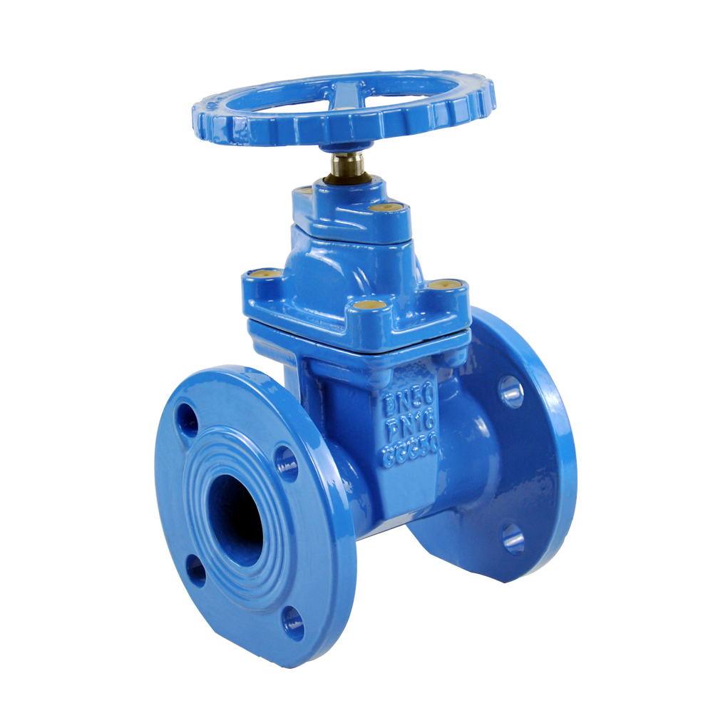 OEM/ODM Supplier Bs5163/pn16 Non-Rising Stem Resilient Seated Gate Valve