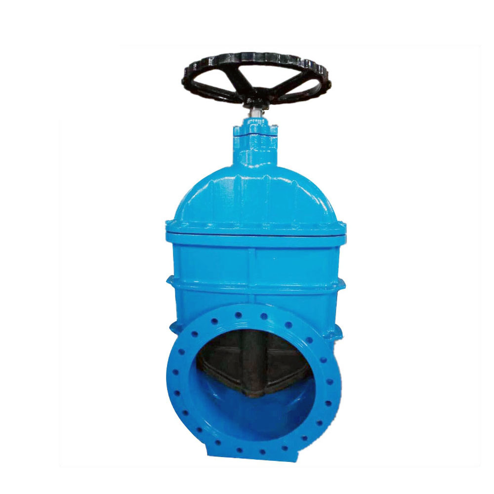Chinese Professional Flange Handle Iron Valve Stainless Steel DN100 Butterfly Valve