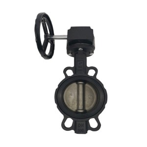 Reasonable price China DIN ANSI Standard Lever Worm Gear Operation Ductile Cast Iron/Stainless Steel Wafer Flange Lug Type Butterfly Valve