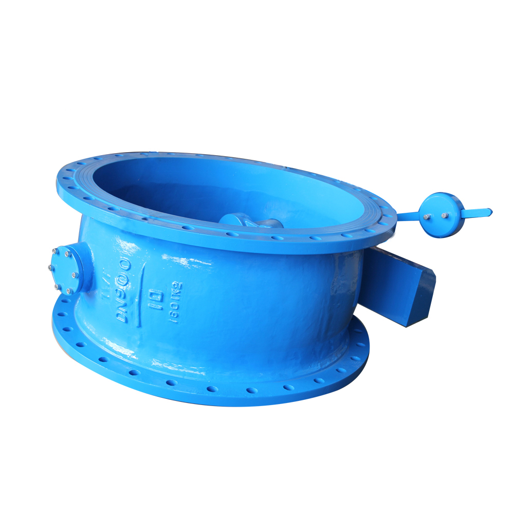 2019 New Style China Cast Iron Wafer Type Dual Disc Check Valve