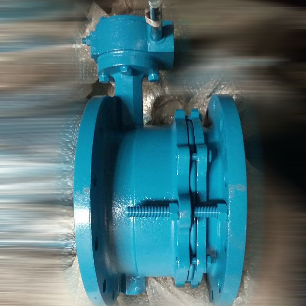 "Transformers" in the Butterfly Valve Industry: The Mysteries and Charm of China's Telescopic Flange Butterfly Valves