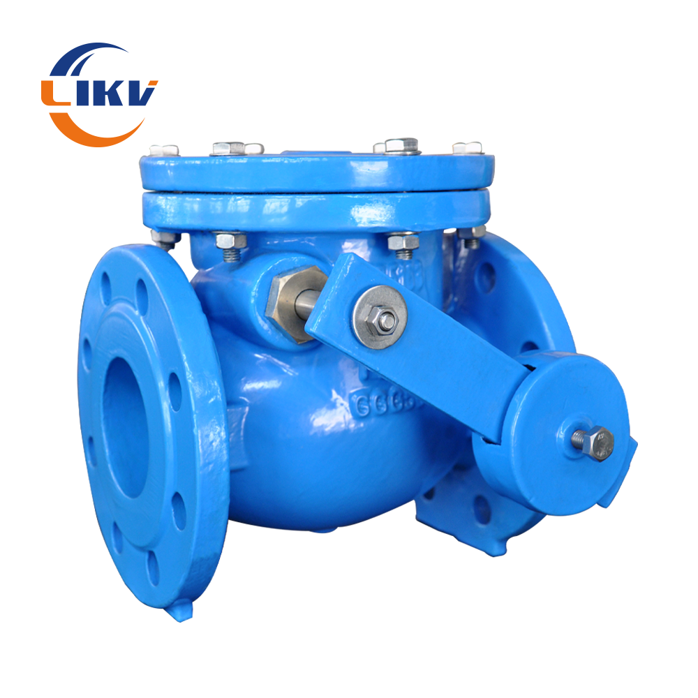 China check valve maintenance manual: Tips for extending service life