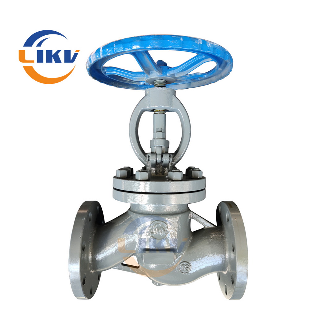 China Globe Valve Selection Guide: How to choose the best China globe valve for your needs?