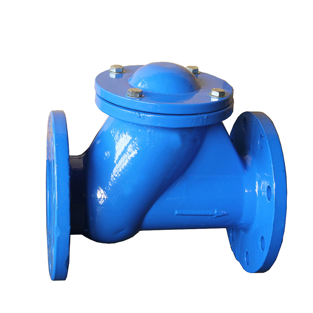 Working Principle and Characteristic of Check Valve