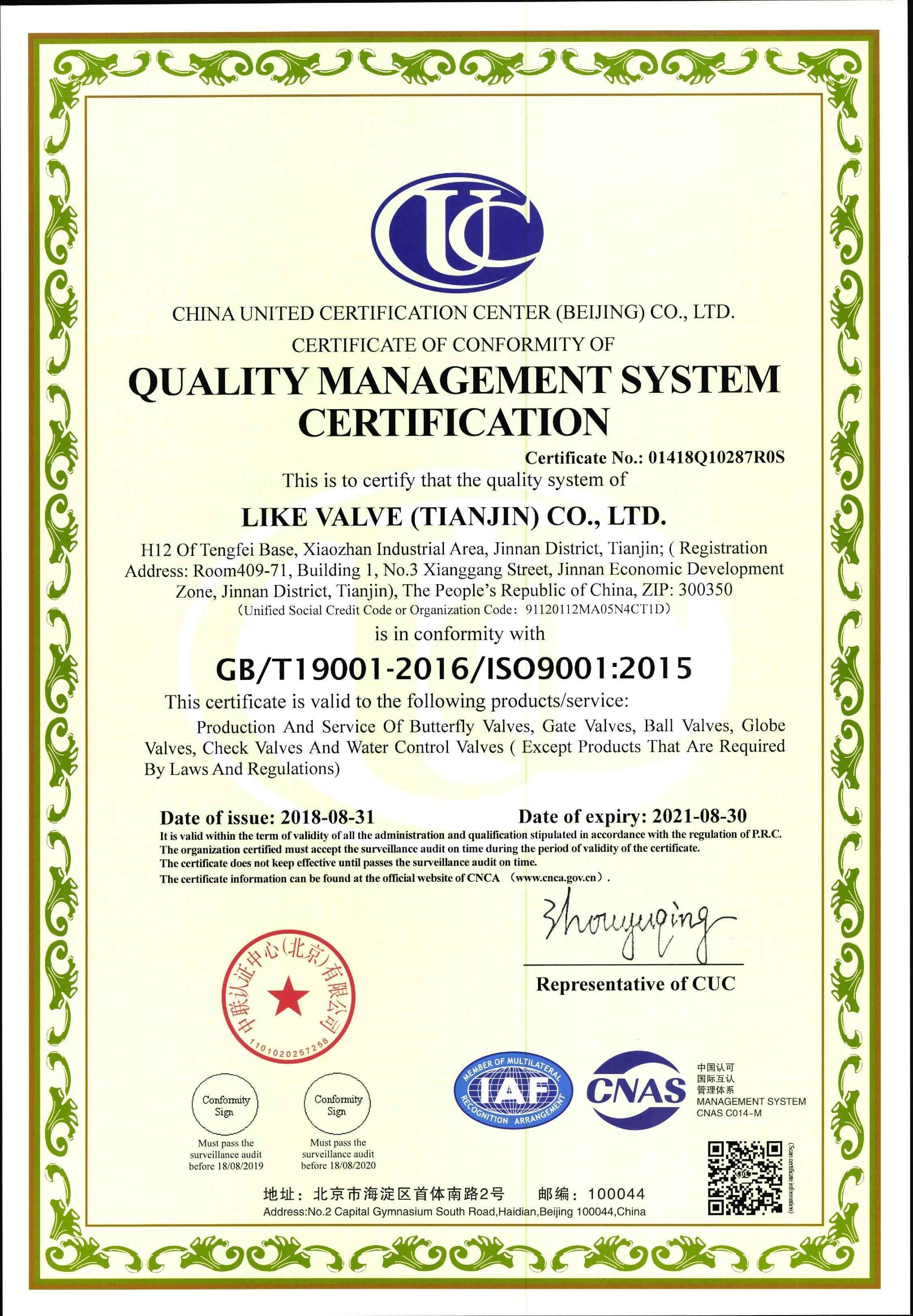 ISO9001 английский