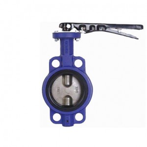 Manufacturing Companies for Ductile Iron Wafer Worm Gear Central Line Type Butterfly Valve Suppliers China Iron Valve Factory China Factory OEM/ODM Butterfly Valve