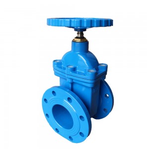 Factory Cheap Hot China Factory Gate Valve with Cap Flanged DN100 Pn16 Rubber Wedge Gate Valve Flanged Handwheel Operated Gate Valve Resilient Seat Ductile Iron Ggg50 Sluice Gate Valve