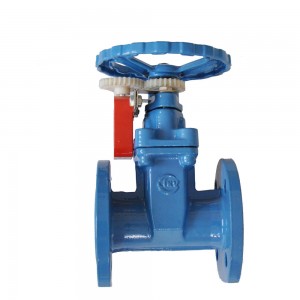 Factory Outlets Ductile Iron Epoxy Painting Flanged Wdege Cast Iron Soft Sealing Gate Valve for Water
