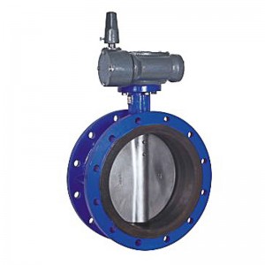 Supply OEM Reasonable Cast Iron Handle Operation Flange Connection 10 Inch Butterfly Valve