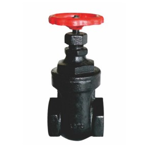 China Gold Supplier for China Stainless Steel 316 1 Inch Steam Globe Valve with NPT