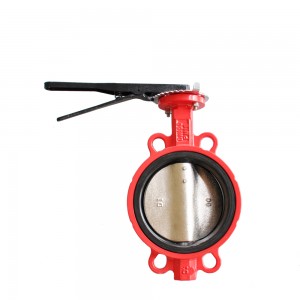 Pin-to-pini butterfly valve