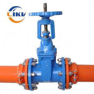 Hot sale Factory High Quality Ductile Iron Ruber-Seat Non Rising Stem Flange Soft Sealing Tap Gate Valve