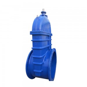 ODM Factory Pn10 16 25 Flanged Bs5163 Dn 50 80 100 200 300 400 500 600 Cast Ductile Iron Reselient Seated Gate Valve With Nrs