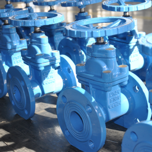 Super Purchasing for China High Pressure Gate Valves Picture Standard Fitting Flanged Gate Valve