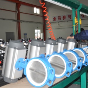 OEM China Pneumatic Dn50 Cast Iron Wafer Butterfly Valves