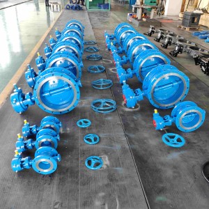 Ductile Iron Double Offset Butterfly Valve with SS Ring