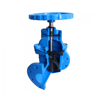 Popular Design for China Cast Iron Rubber Coated Double Disc Swing Check Valve