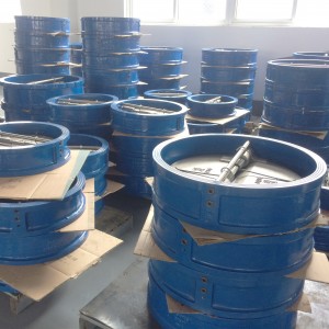 Cast Iron/ductile Iron/wcb A216 Stainless Steel Dual Plate Wafer Check Valve