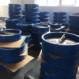 Cast Iron/ductile Iron/wcb A216 Stainless Steel Dual Plate Wafer Check Valve