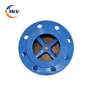 Discount Price China Ductile Iron Flexible Rubber Flap Check Valve
