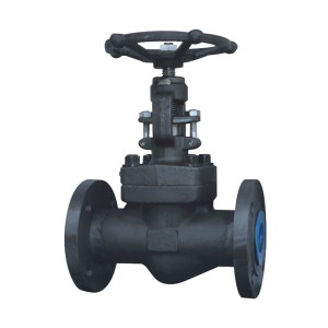 Wholesale Price China CF8 Worm Gear Operated API 603 Gate Valve for Petrochemical