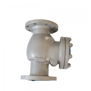 OEM/ODM Supplier China Cast Steel Swing Check Valve-Check Valve-Forged Check Valve