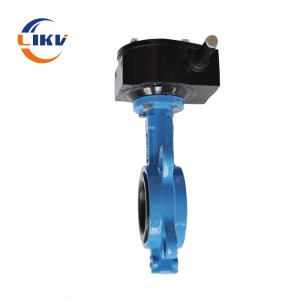 Best quality Hot Sale And Top Convex Turbine Butterfly Valve