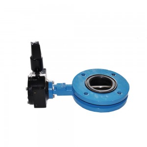 Hot Sale for U Type Butterfly Valve With Soft Seal