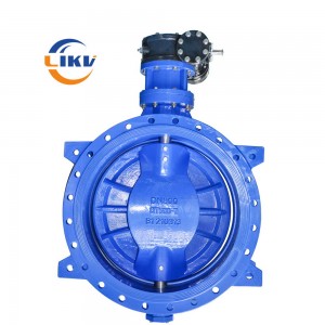Eccentric butterfly valve with flange, complete models and guaranteed quality