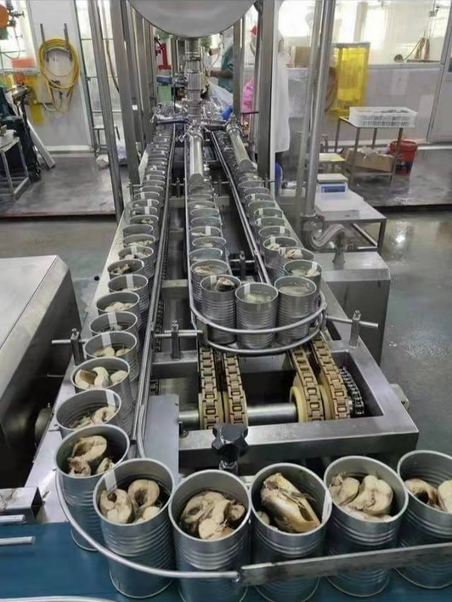 Canned mackerel Fish Production L...