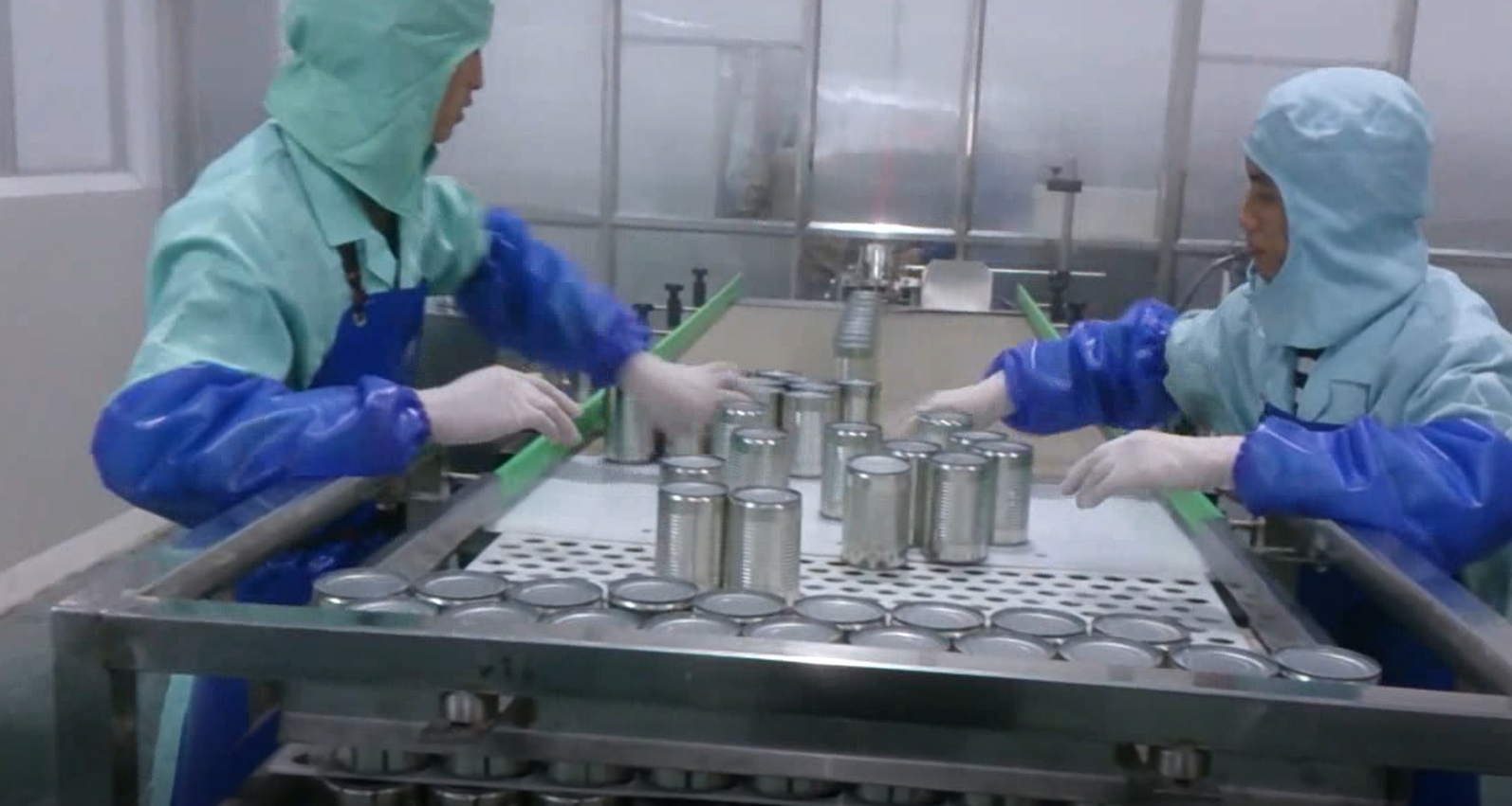Makina ng Canned Tuna Production Line 11