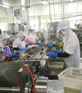 2019 China New Design China Tuna Processing Machine Canning Plant