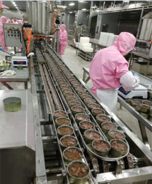 Canned-Tuna-Production-Line- Weighing and conveying  machine