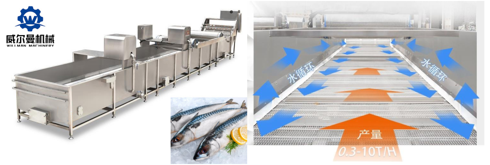 Canned Mackerel fish production line 11