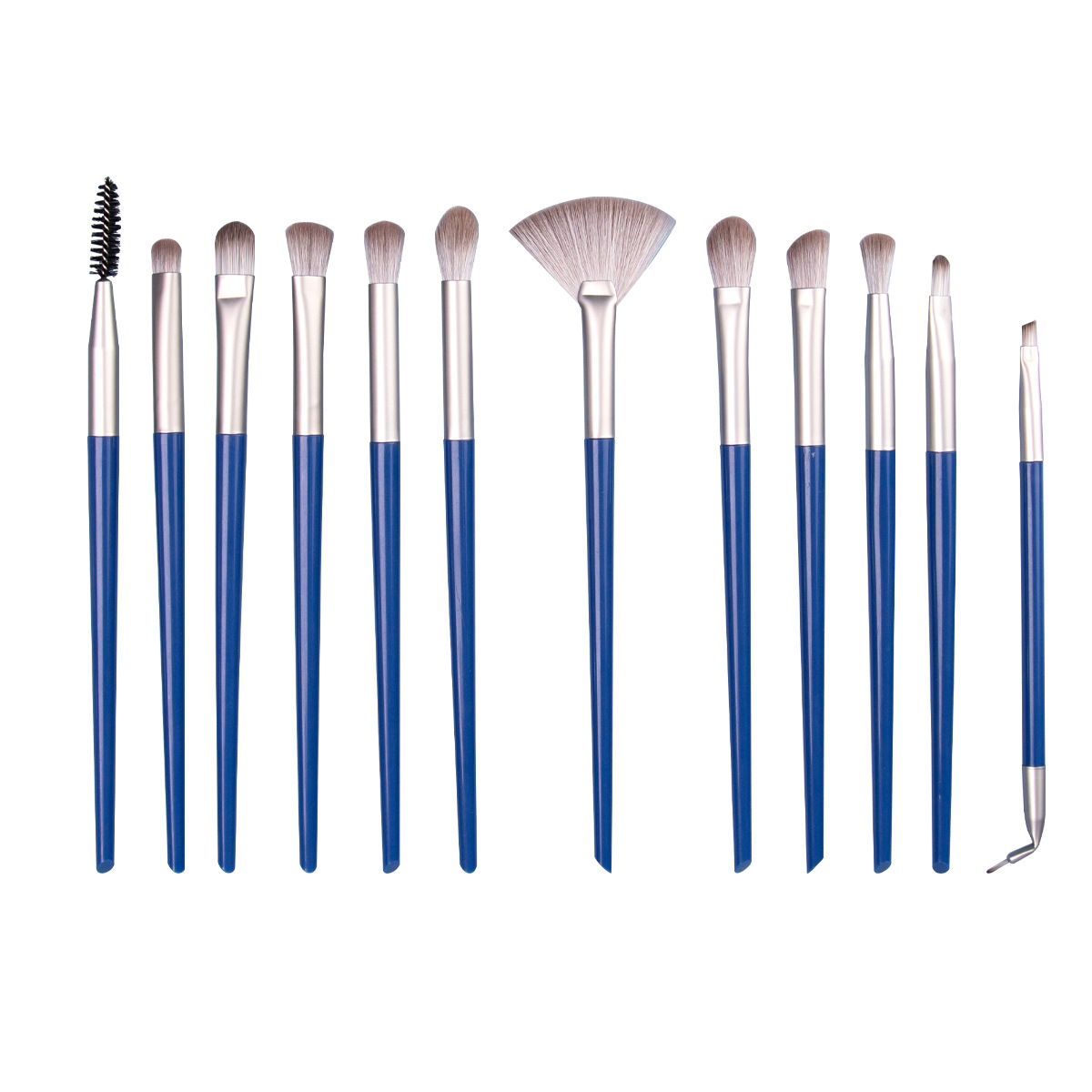 Customize Professional Eye Makeup Brush Set 12Pcs Beauty Tools for Eyeshadow Blending Eyebrow Eyeliner