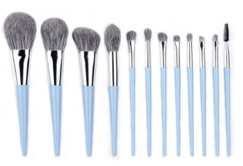 SHENZHEN YRSOOPRISA Professional 12Pcs Makeup Brush Set